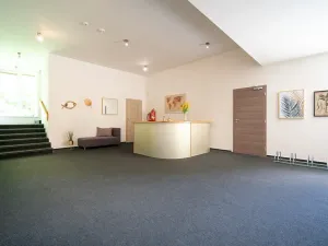 Pronájem bytu 1+kk, Jeseník, Na Mýtince, 36 m2