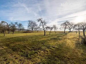 Prodej zahrady, Nové Mitrovice, 1882 m2