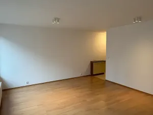 Pronájem bytu 2+kk, Brno, Spálená, 56 m2