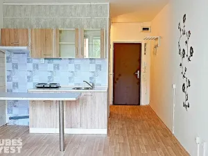 Pronájem bytu 1+kk, Hradec Králové, třída Edvarda Beneše, 32 m2