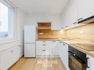 Prodej bytu 1+1, Malý Beranov, 46 m2