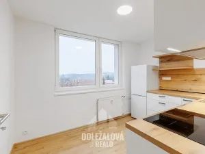 Prodej bytu 1+1, Malý Beranov, 46 m2