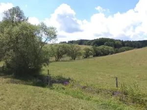 Dražba louky, Slavičín, 16521 m2