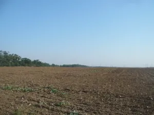 Prodej komerčního pozemku, Veltrusy, 27806 m2