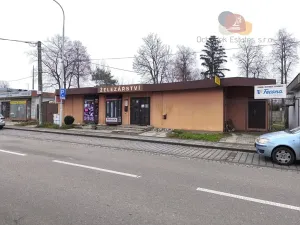 Prodej obchodního prostoru, Prostějov, Krasická, 207 m2