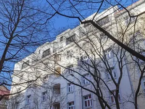 Prodej bytu 3+kk, Praha - Žižkov, Biskupcova, 113 m2