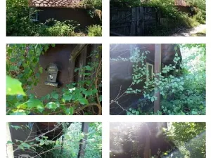 Dražba chaty, Hradec Králové, K Chatám, 97 m2