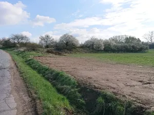 Prodej komerčního pozemku, Trnava, 3464 m2