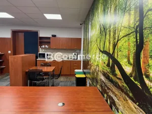 Pronájem obchodního prostoru, Brno, U Leskavy, 92 m2