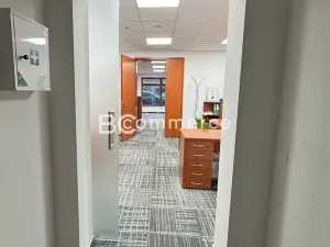 Pronájem obchodního prostoru, Brno, U Leskavy, 92 m2