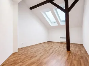Pronájem bytu 4+kk, Praha - Vinohrady, Korunní, 145 m2