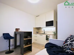 Pronájem bytu 1+kk, Brno, Francouzská, 23 m2