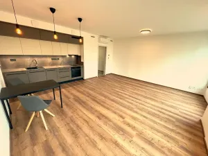 Pronájem bytu 1+kk, Brno, Slovákova, 47 m2