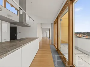Pronájem bytu 6+kk a větší, Praha - Nusle, Na Bučance, 186 m2