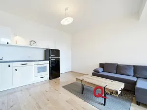 Prodej bytu 1+kk, Praha - Krč, Budějovická, 25 m2
