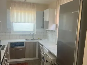 Pronájem rodinného domu, Plzeň, Konopná, 100 m2