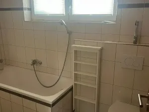 Pronájem rodinného domu, Plzeň, Konopná, 100 m2