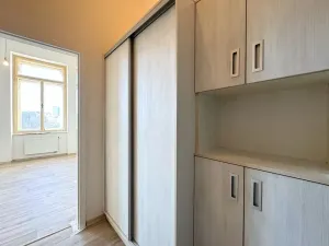 Prodej bytu 1+kk, Brno, Drobného, 24 m2