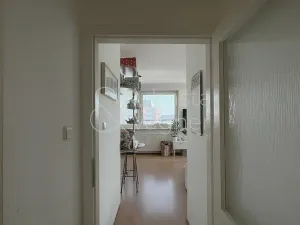 Prodej bytu 3+kk, Pardubice, nábřeží Závodu míru, 92 m2