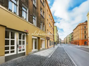 Prodej bytu 1+1, Praha - Žižkov, Husitská, 39 m2