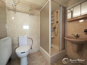 Prodej rodinného domu, Zbůch, Hornická, 339 m2