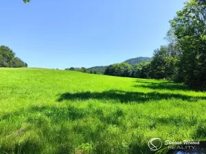 Prodej louky, Třebušín, 74552 m2