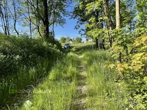 Prodej pozemku, Hranice, 11116 m2