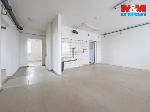 Prodej obchodního prostoru, Příbram - Příbram VI-Březové Hory, K Podlesí, 326 m2