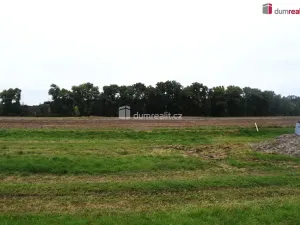 Prodej pole, Benátky nad Jizerou, Pražská, 6490 m2