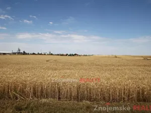 Prodej pole, Blanné, 24000 m2