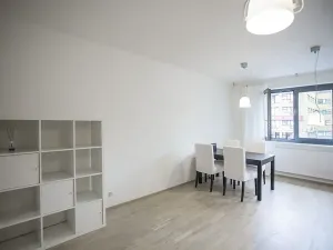 Pronájem bytu 1+kk, Praha - Žižkov, Olšanská, 35 m2