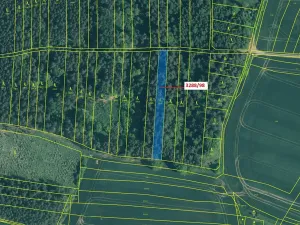 Dražba lesa, Hosty, 1685 m2