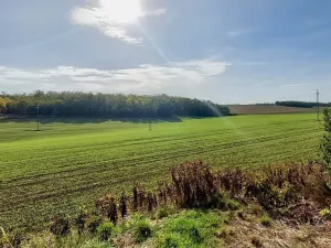 Prodej pozemku pro bydlení, Hrušovany u Brna, Pod Střediskem, 988 m2