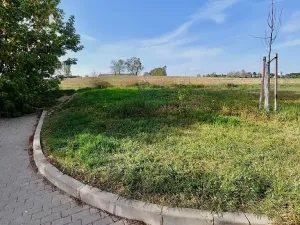 Prodej pozemku pro bydlení, Hrušovany u Brna, Pod Střediskem, 608 m2