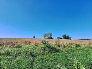 Prodej pozemku pro bydlení, Hrušovany u Brna, Pod Střediskem, 1062 m2