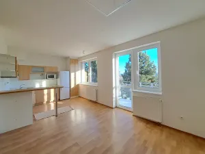 Prodej bytu 2+kk, Zlín, Podlesí V, 52 m2