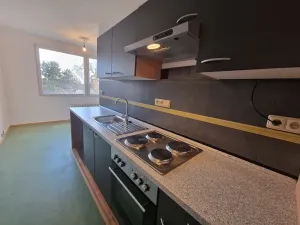 Pronájem bytu 3+1, Litoměřice, Liškova, 70 m2