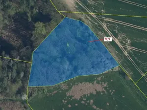 Dražba lesa, Březovice, 4432 m2