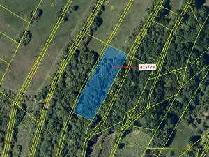 Dražba louky, Jankovice, 2523 m2