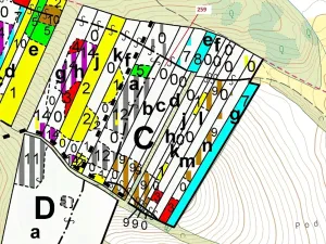 Dražba lesa, Vícenice, 6645 m2