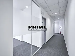 Pronájem kanceláře, Praha - Nové Město, Soukenická, 401 m2