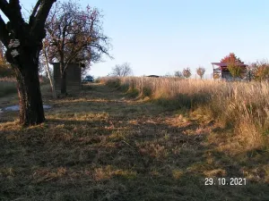 Prodej pozemku pro bydlení, Nížkovice, 996 m2