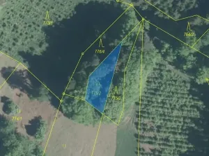 Dražba lesa, Lačnov, 281 m2