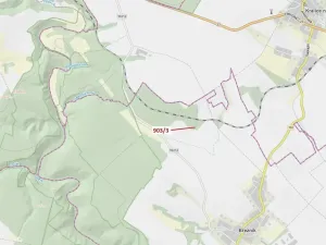 Dražba lesa, Březník, 234 m2