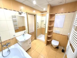 Prodej bytu 2+1, Karlovy Vary, Lomená, 52 m2