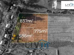 Prodej pozemku pro bydlení, Domašov u Šternberka, 586 m2