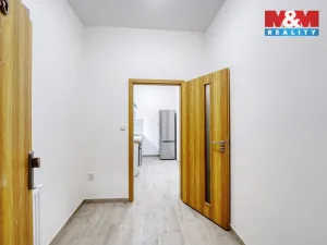 Pronájem bytu 1+1, Plzeň - Jižní Předměstí, Husova, 33 m2