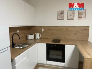 Pronájem bytu 1+kk, Ostrava - Nová Ves, Na Lánech, 30 m2
