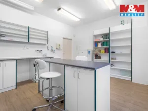 Pronájem obchodního prostoru, Ústí nad Labem - Severní Terasa, Šrámkova, 181 m2