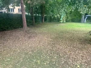 Pronájem bytu 1+kk, Kadaň, Školní, 19 m2